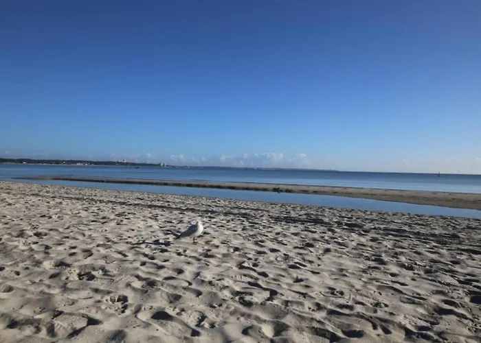 Windrose 14 * Scharbeutz