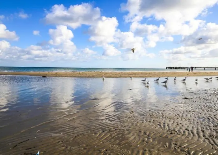 Windrose 14 Διαμέρισμα